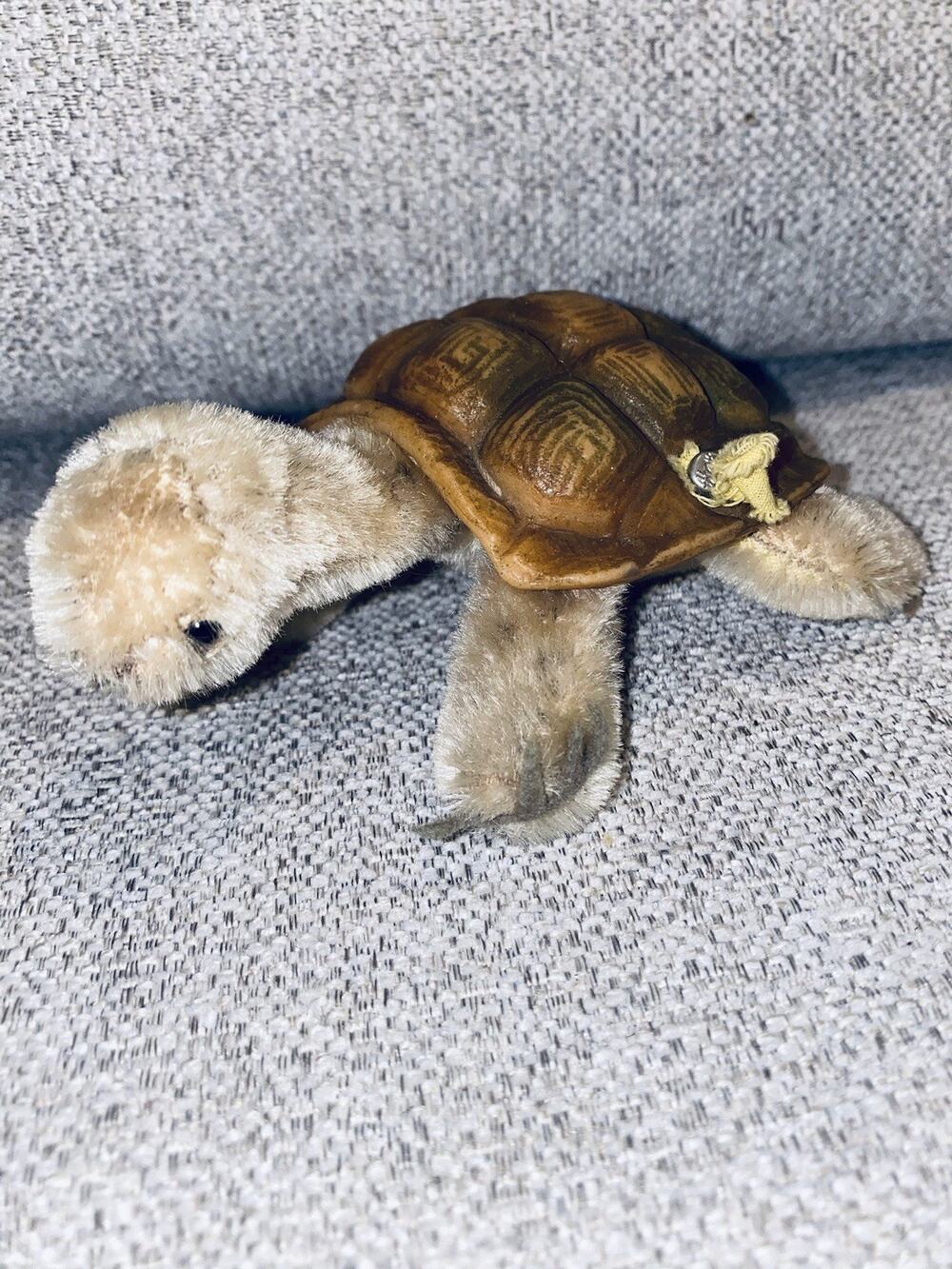 VINTAGE STEIFF GENUINE MOHAIR TURTLE "SLO" SMALL WITH RUBBER SHELL Germany